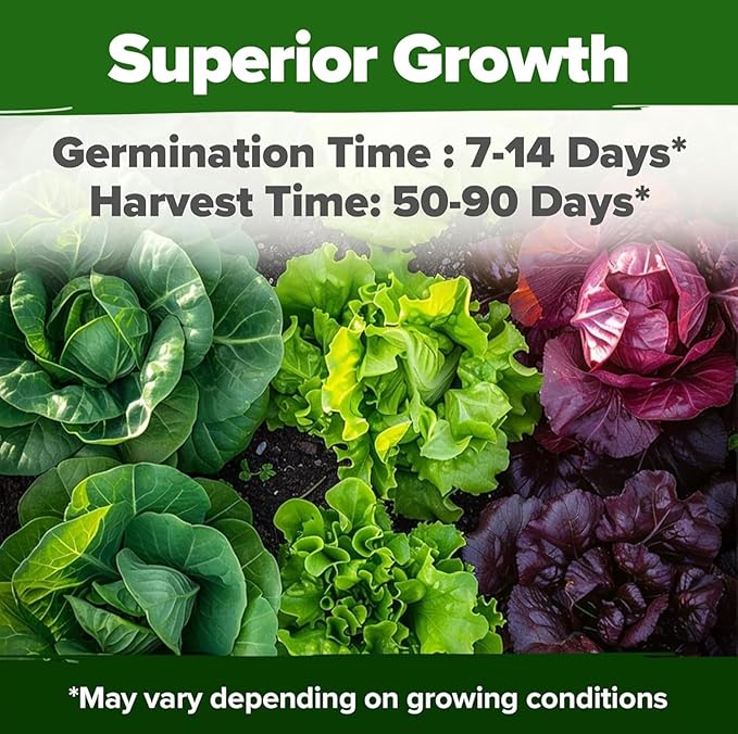 HOME GROWN 20 Variety Lettuce Seeds 21,700+ Bulk Pack Heirloom Non-GMO, High Germination, Romaine,Butterhead, Spinach, Kale, Iceberg, Continuous Harvest,Indoor Outdoor Hydroponic Garden (20 Varieties)