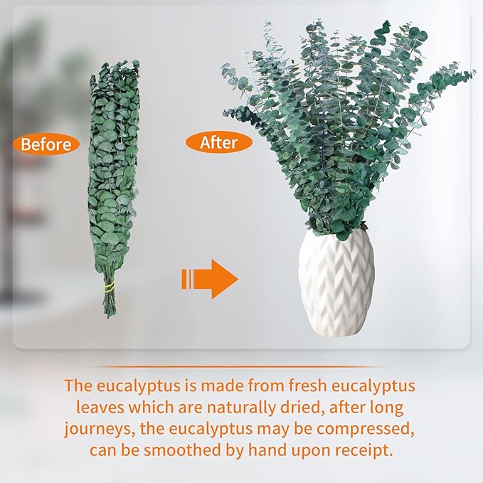 20 Pcs Dried Eucalyptus for Shower - Real Eucalyptus Stems,17'' Fresh 100% Natural Leaves & Aromatic for Shower Spray, Home Decor, Party Present, Wedding Gift
