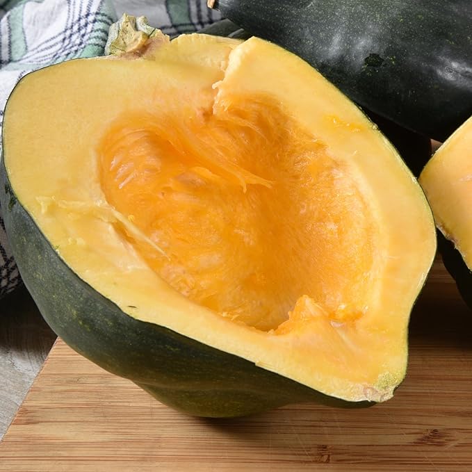 Seed Needs, Table King Acorn Winter Squash Seeds - 45 Heirloom Seeds for Planting Cucurbita Pepo - Non-GMO & Untreated Vegetable for an Outdoor Garden (5 Packs)