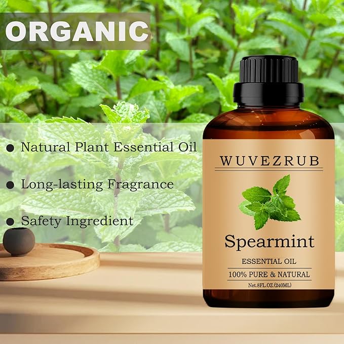 Spearmint Essential Oils, 240ML Pure and Natural Essential Oil for Aromatherapy Diffuser - Spearmint /8 Fl Oz