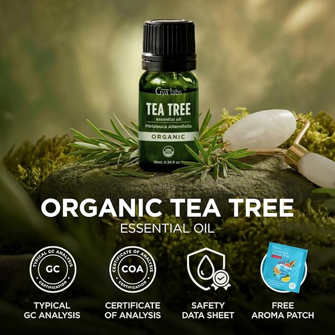 Gya Labs USDA Organic Tea Tree Essential Oil for Skin, Nails - 0.34 Fl Oz - Face, Hair, Diffuser, Aromatherapy, DIY Candle Making Scents