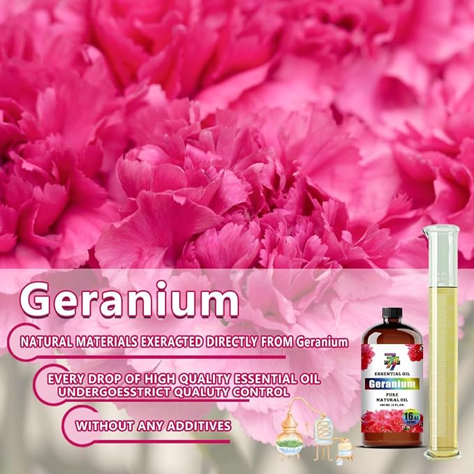 Geranium Essential Oil - GV77ZF Geranium Oils for Diffusers, Humidifiers, DIY Candles, Soap, Cleaning, Home, Office, Yoga, Massage, Gifts - 16 fl oz (480 ml)