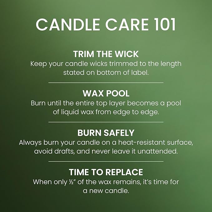 Yankee Candle Balsam & Cedar, Scented Candle, 22oz Large Jar with up to 150 Hour Burn Time, Giftable (Pack of 4)