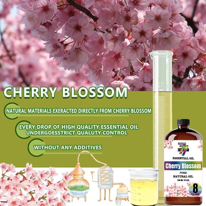 Cherry Blossom Essential Oil - GV77ZF Cherry Blossom Oils for Diffusers, Humidifiers, DIY Candles, Soap, Cleaning, Home, Office, Yoga, Massage, Gifts - 8 fl oz (240 ml)