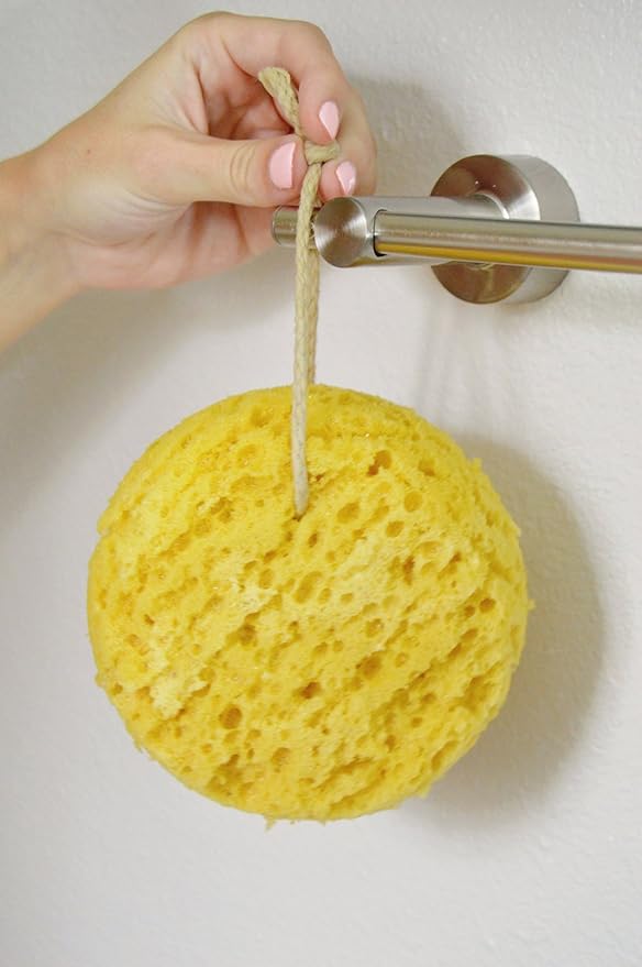 PARADISO Evriholder Sea Foam Body Sponge for Scrubbing and Exfoliating, Set of 2, Large Srubbing Loofah for A Relaxing Shower or Bath