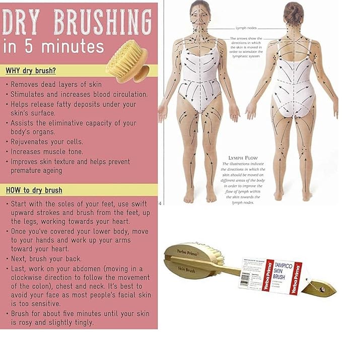 Yerba Prima Tampico Skin Brush for Exfoliation, Dry Brushing, and Blood Circulation with Natural Fiber Bristles and an All-Natural Maple Wood Handle - 1 Brush