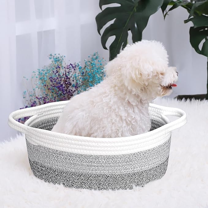 ABenkle Small Basket with Handles - Decorative Durable Rope Woven Storage Bin Shelf Storage Organizer Cube, Easter Baby Gift Basket, 12"x8"x5"