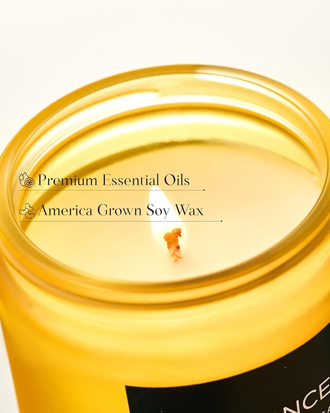 M&SENSE Limocello Summer Scented Candle, 7.05oz 50 Hours Long Lasting Burn Non Toxic Natural Soy Wax Lemon Highly Scented for Home Decor, Relaxing Candle Gifts for Yoga Spa Meditation