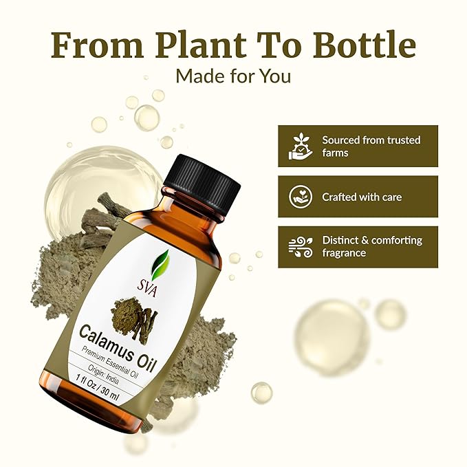 SVA Calamus Essential Oil – 1 Fl Oz – 100% Natural Calamus Oil - for Diffuser, Hair Care, Face, Skin Care, Aromatherapy, Scalp and Body Massage, Soap and Candle Making – with Dropper