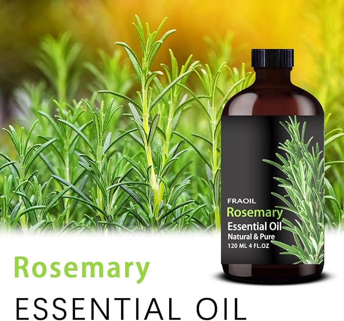 Rosemary Essential Oil, Rosemary Oil 4 Fl Oz 120ML for Diffuser Humidifier Yoga Cleaning DIY Candle Soap Making Perfume Gift Essential Oils FRAOIL (Rosemary 4 Fl Oz (Pack of 1))