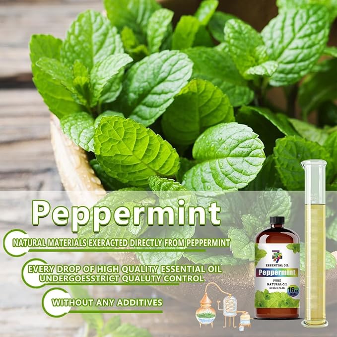 Peppermint Essential Oil - GV77ZF Peppermint Oils for Diffusers, Humidifiers, DIY Candles, Soap, Cleaning, Home, Office, Yoga, Massage, Gifts - 16 fl oz (480 ml)
