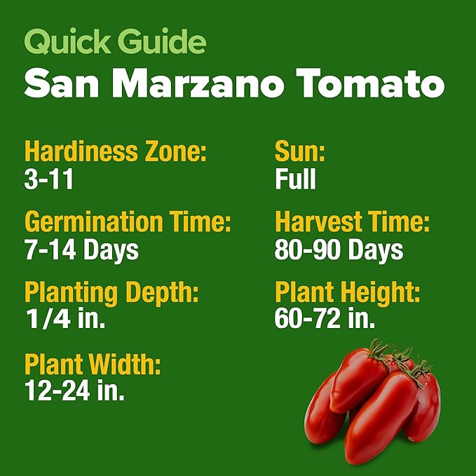 HOME GROWN San Marzano Tomato Seeds 66+ Heirloom Non-GMO Seeds for Planting, High Germination, Indeterminate, Classic Meaty Italian Paste Tomato, Best for Sauce & Canning (Solanum lycopersicum)