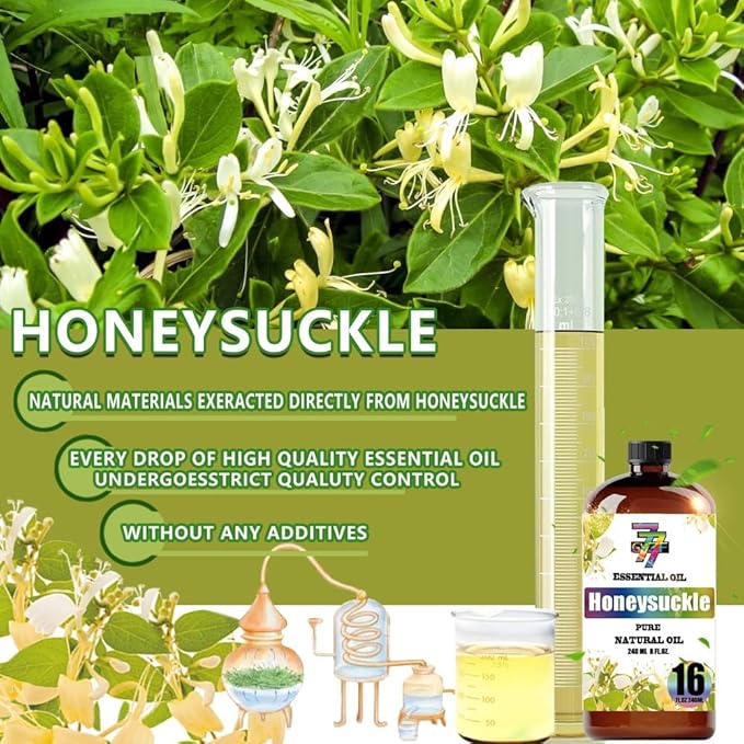 Honeysuckle Essential Oil - GV77ZF Honeysuckle Oils for Diffusers, Humidifiers, DIY Candles, Soap, Cleaning, Home, Office, Yoga, Massage, Gifts - 16 fl oz (480 ml)