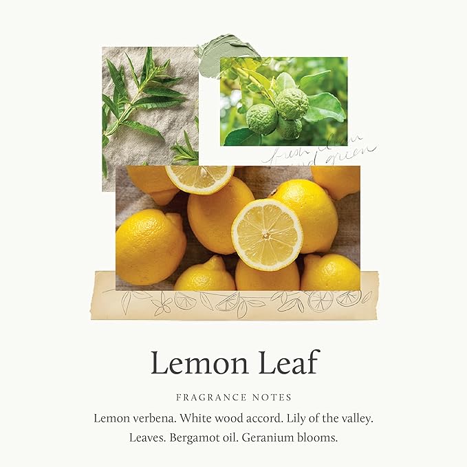 Thymes Home Fragrance Mist – Room Air Fresheners for Home Long Lasting – Air Freshener Spray – Premium Home Fragrance - Citrus Notes of Lemon Verbena, Dewey Leaves & Bergamot (Lemon Leaf, 3 oz)