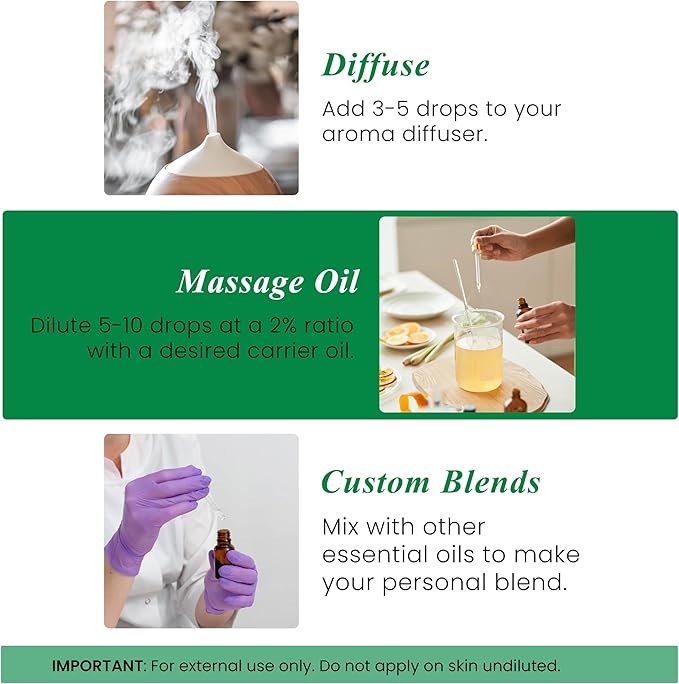 Handcraft Blends Thyme Essential Oil – 1 Fl Oz – 100% Pure and Natural – Premium Grade Essential Oil for Diffuser and Aromatherapy, Skin, Massage, Candle and Soap Making Fragrance