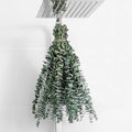 10 Pcs Dried Eucalyptus Stems 17" Real Eucalyptus for Shower Hanging 100% Made from Fresh Leaves, Wedding, Home, Farmhouse, DIY Spring Decor Bathroom Decor Home Decor