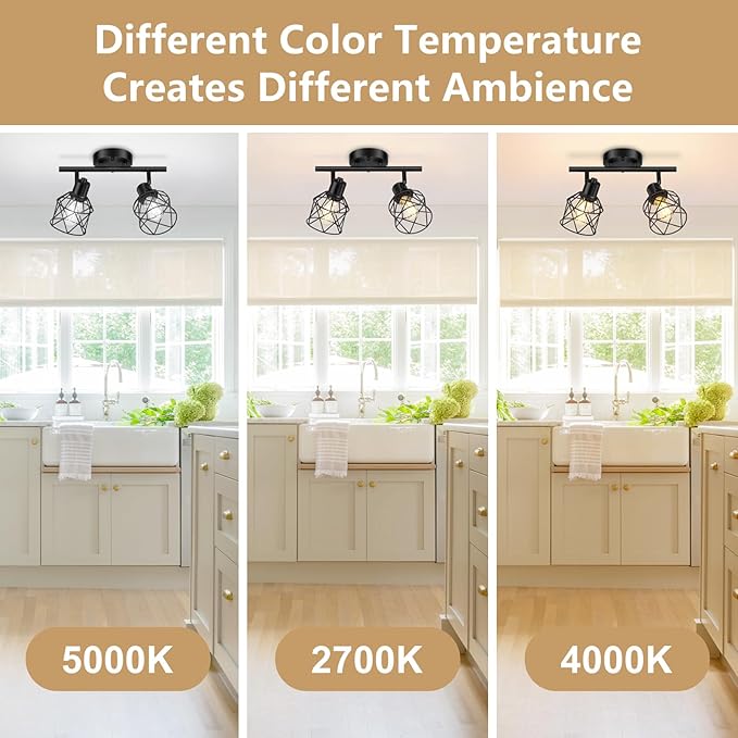 Baocuz 2-Lights Kitchen Light Fixtures Ceiling Mount, Adjustable Semi Flush Mount Ceiling Light with Metal Wire Cage, Vintage Track Spotlight Ceiling Fixtures for Dining Room, Farmhouse, Entryway