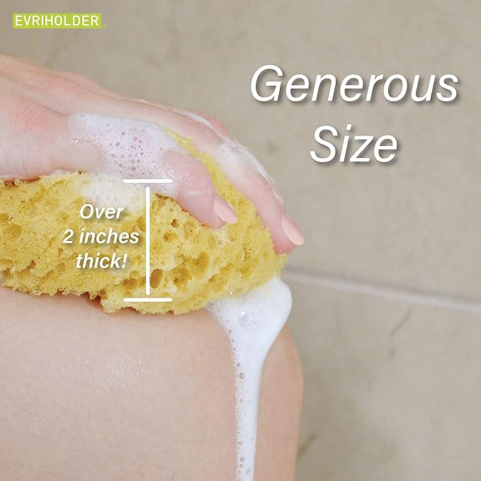 PARADISO Evriholder Sea Foam Body Sponge for Scrubbing and Exfoliating, Set of 2, Large Srubbing Loofah for A Relaxing Shower or Bath