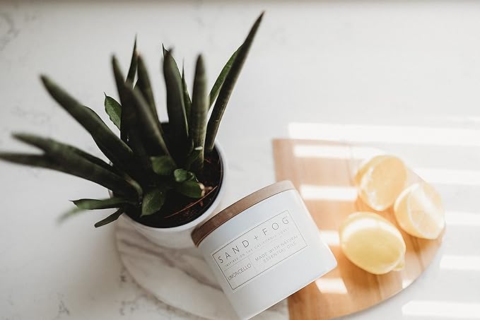 Sand + Fog Scented Candles - Cinnamon Vanilla - Additional Scents and Sizes - 3 Wicks 100% Cotton Lead-Free - Luxury Air Freshening Jar Candles - Perfect Home Decor - 21 oz