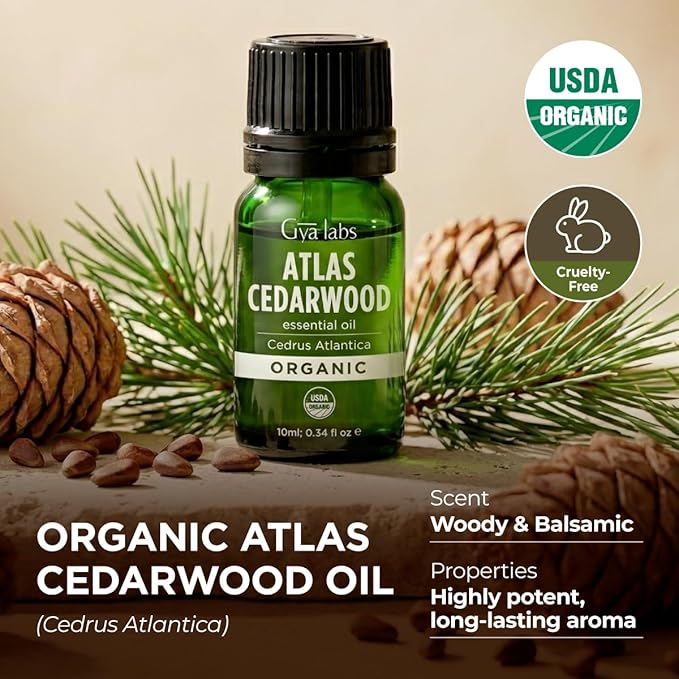Gya Labs USDA Organic Cedarwood Essential Oil for Scalp, Hair - for Skin, Diffuser, Aromatherapy, Grounding Aroma for DIY Candle Making Scents - 0.34 Fl Oz