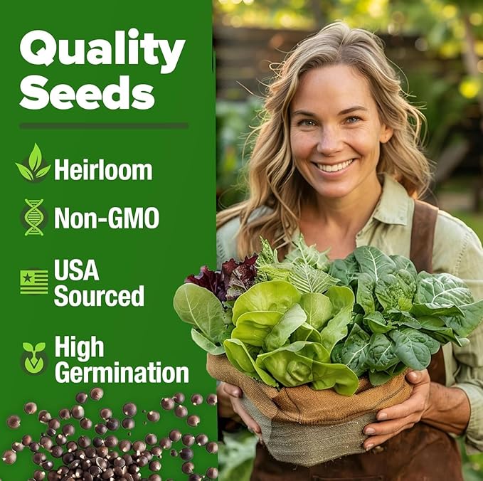 HOME GROWN 20 Variety Lettuce Seeds 21,700+ Bulk Pack Heirloom Non-GMO, High Germination, Romaine,Butterhead, Spinach, Kale, Iceberg, Continuous Harvest,Indoor Outdoor Hydroponic Garden (20 Varieties)
