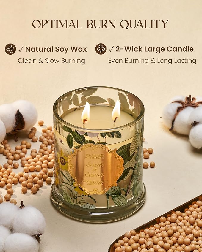 M&SENSE Sage Citrus Soy Candles, Natural Organic 2 Wick 12.7oz 75H Long Lasting Slow Burning, Winter Aromatherapy Candle for Stress Relief, Housewarming New Year Gifts