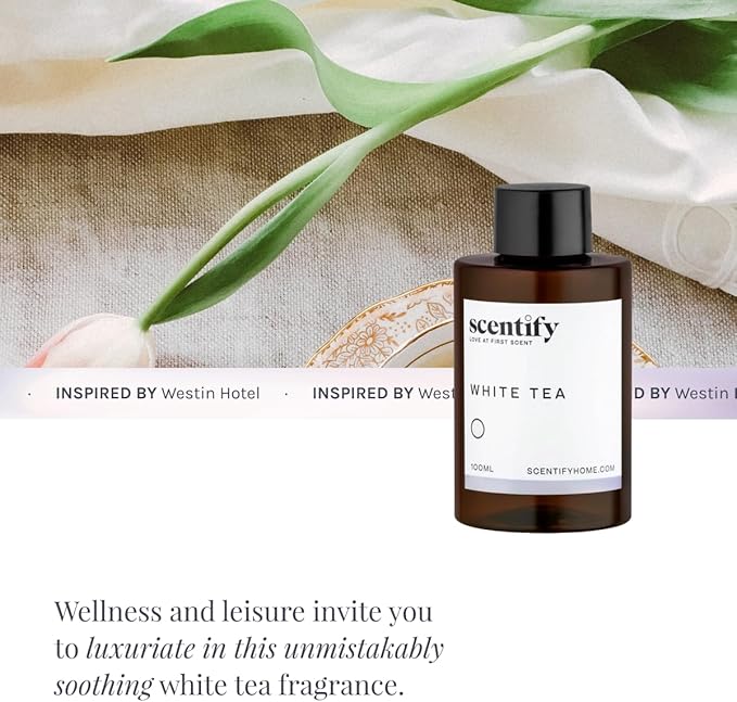 Scentify White Tea Aroma Oil Refill for Diffusers – Citrus, White Tea & Soft Florals, Amber Woods & Palo Santo – Luxury Aromatherapy Fragrance – 100ml / 3.38oz – New Version