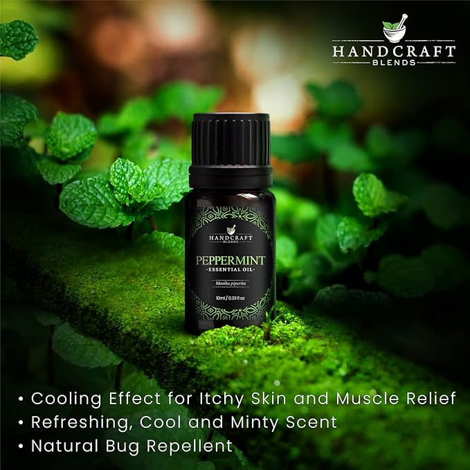 Handcraft Blends Peppermint Essential Oil – 0.33 Fl Oz – 100% Pure and Natural – Premium Grade Essential Oil for Diffuser and Aromatherapy, Skin, Massage, Candle and Soap Making Fragrance