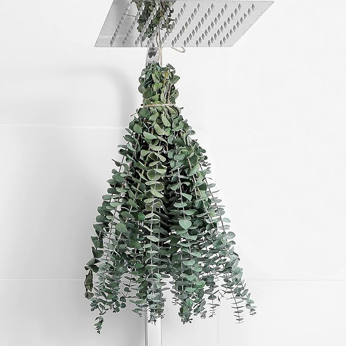 12 Pcs Eucalyptus for Shower Hanging 17" Real Eucalyptus Stems 100% Made from Fresh Leaves , Used for Wedding Decor Home Decor Farmhouse Decor. Dried Flowers