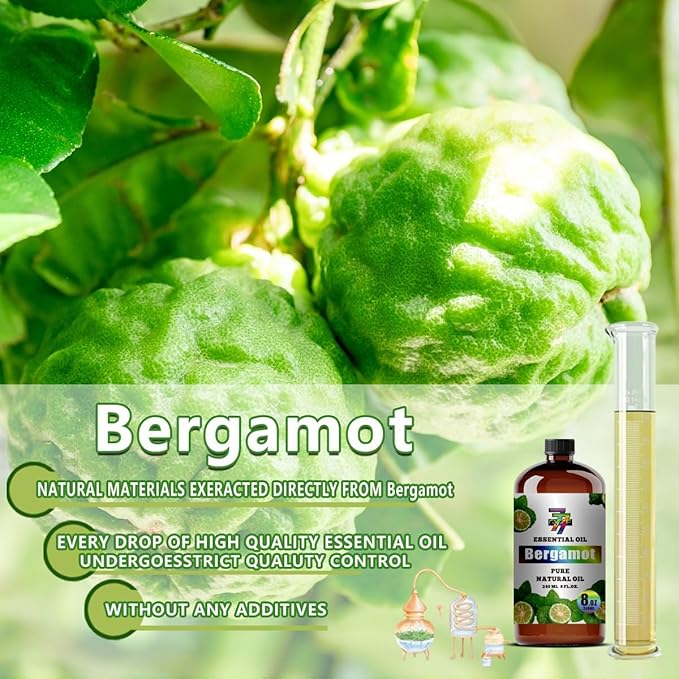 Bergamot Essential Oil - GV77ZF Bergamot Oils for Diffusers, Humidifiers, DIY Candles, Soap, Cleaning, Home, Office, Yoga, Massage, Gifts - 8 fl oz (240 ml)