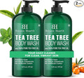 Botanic Hearth Tea Tree Body Wash 16 fl oz (2 Pack) Natural Antifungal & Odor Control Shower Gel for Acne, Athlete’s Foot, Ringworm, Jock Itch, Healthy Skin, Sulfate & Paraben Free, for Men & Women
