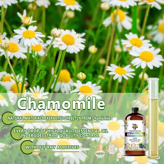 Chamomile Essential Oil - GV77ZF Chamomile Oils for Diffusers, Humidifiers, DIY Candles, Soap, Cleaning, Home, Office, Yoga, Massage, Gifts - 16 fl oz (480 ml)