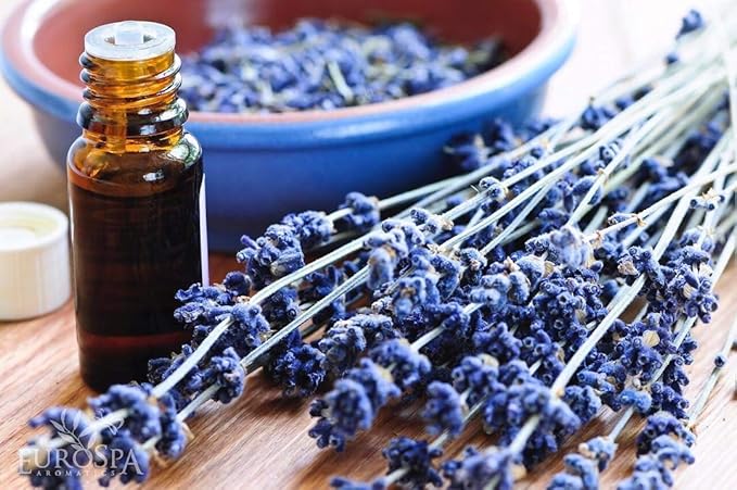 EuroSpa Aromatics Pure Eucalyptus Oil ShowerMist and Steam Room Spray, All-Natural Premium Aromatherapy Essential Oils - Lavender Infused, 2oz, 2 Pack