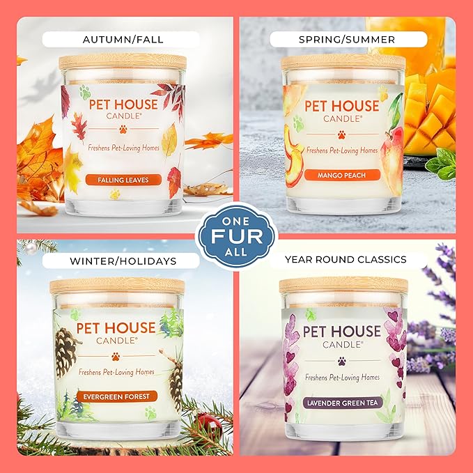 Pet House Candles, Clean Burning, Long Lasting Candles for Pet Odor, Plant-Based, 60 Hour Burn Time - Ruby Red Grapefruit, 9 oz, 2 Pack