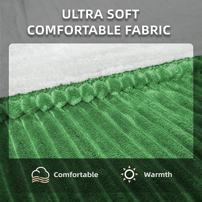 JET'S HOME Heated Blanket 50"x60" - ETL Certified Flannel Electric Blanket Throw Machine Washable Heating Throw with 9 Heating Levels 10 Hours Adjustable Auto-Off (Grove Green)
