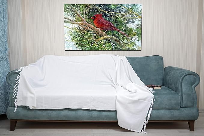 Bersuse 100% Cotton Troy XL Throw Blanket for Couch - 100% Cotton Lightweight Durable Throw Blanket, Big Blanket for Sensitive Skin, Decorative and Versatile - 59x81 Inches, White