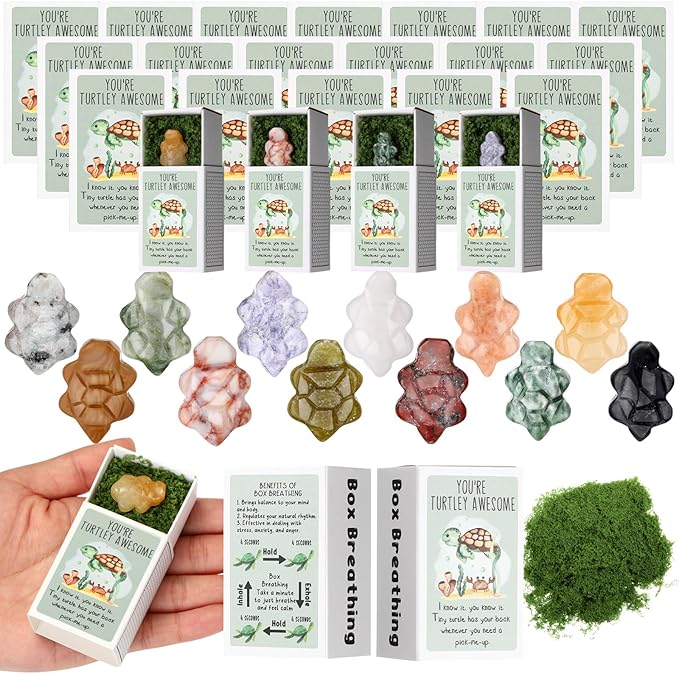DoubleFill 12 Set Office Positive Gifts for Coworkers Employee Appreciation Gifts Bulk Emotional Pocket Hug Support Appreciation Gift for Staff Teacher Team (Gorgeous Stone)