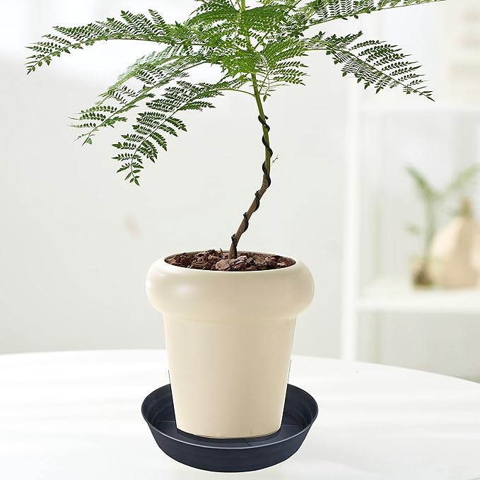 LWALRS Plant Saucer 18 Inch, Extra Large Planter Saucer 4 Pack, Plastic Plant Saucers for Indoors and Outdoors, Plant Pot Saucers, Drainage Tray for 16, 17, 18 in Planters