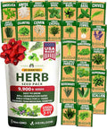 HOME GROWN 25 Herb Seeds for Planting 8,700+ Non-GMO Heirloom Seeds | Extra Large Variety Pack Herb Kit – Indoor Outdoor & Hydroponic | Culinary Seed Set | Grow Your Own Herbs | Gardening Gift