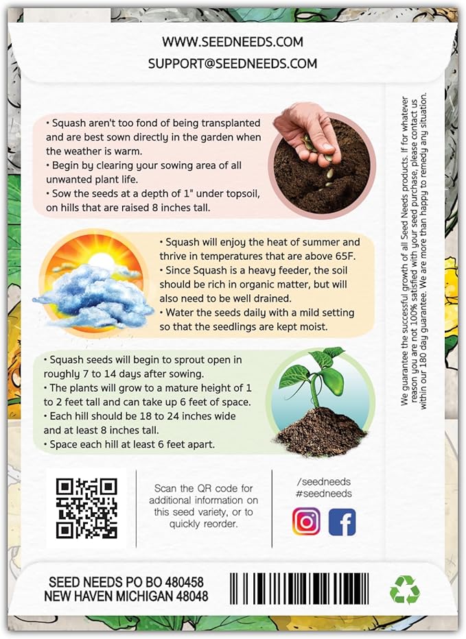 Seed Needs Blue Hubbard Winter Squash Seeds for Planting - Non-GMO, Heirloom & Untreated - Golden Yellow Sweet Flesh Perfect for Baking & Cooking (2 Packs)