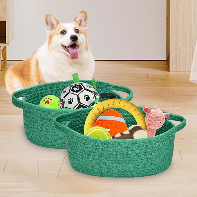 ABenkle Small Basket with Handles - Decorative Durable Rope Woven Storage Bin Shelf Storage Organizer Cube, Easter Baby Gift Basket, 12"x8"x5"
