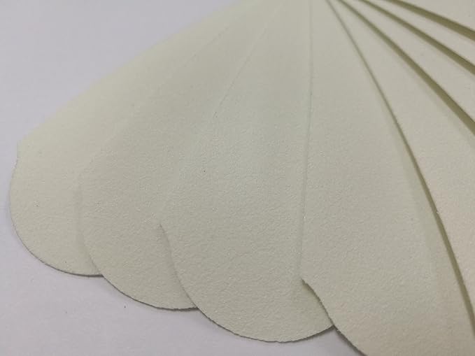 180 GRIT Stainless Steel Pedicure File Refill Pads, 60 Count (180 GRIT White)