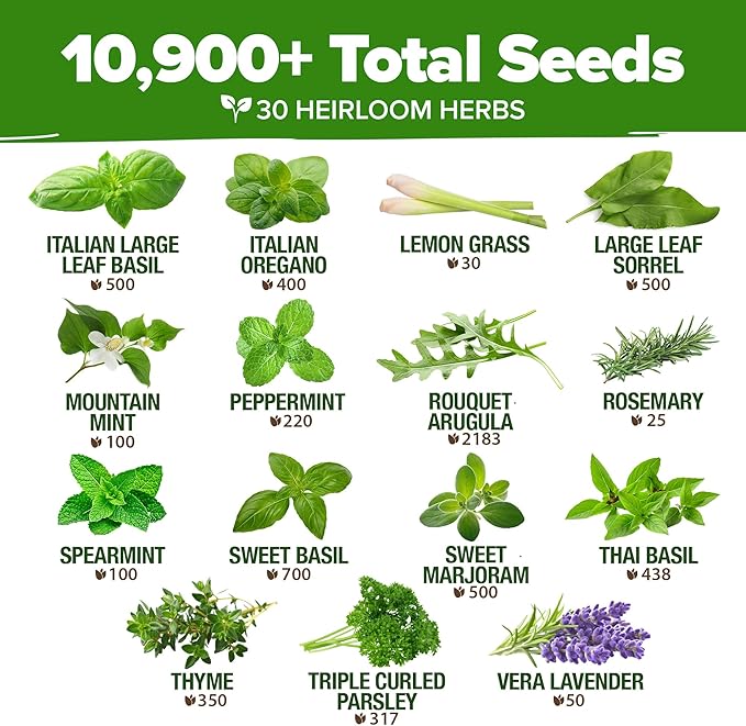 HOME GROWN 30 Herb Seeds for Planting 10,900+ Non-GMO Heirloom Seeds | Extra Large Variety Pack Herb Kit – Indoor Outdoor & Hydroponic | Culinary Seed Set | Grow Your Own Herbs | Gardening Gift