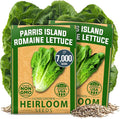 HOME GROWN Parris Island Romaine Lettuce Seeds 7000+ Bulk Pack Heirloom Non-GMO, High Germination, Crisp Cos Lettuce for Planting, Indoor Outdoor Hydroponic Garden, Slow to Bolt (Lactuca Sativa)