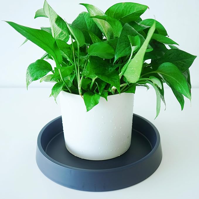 1 Pack Plant Saucer Tray for Ceramic Plastic Pots, 6 inch Plant Saucers for Indoors, Pot Saucers Trays, Flower Planter Water Drip Trays for Pots Base (6", Blue)