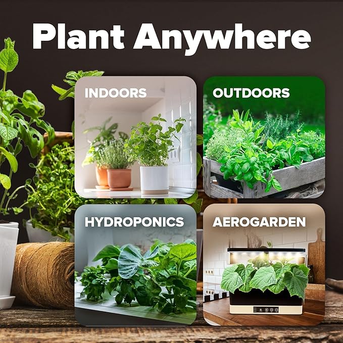 HOME GROWN 10 Variety Survival Seed Vault 2000+ USA Grown Heirloom Non-GMO Vegetable Seeds for Planting, High Germination, Garden Starter Kit, Emergency Food Supply, Indoor Outdoor