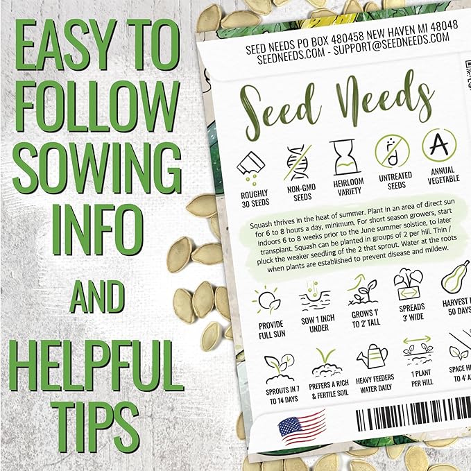 Seed Needs Black Beauty Squash Seeds for Planting Zucchini Summer Squash - Non-GMO, Heirloom & Untreated - Prolific Yields of Delicious Zucchinis in a Home Grown Outdoor Vegetable Garden (2 Packs)