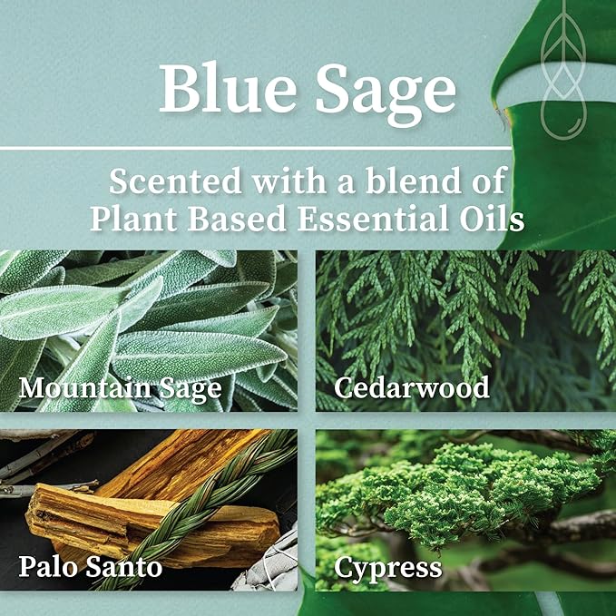 Hemlock Park Blue Sage Apothecary Hand-Poured Scented Candle | Crackling Wood Wick, Botanical Fragrance & Coconut Wax | Up to 60 Hour Burn Time | 8 oz