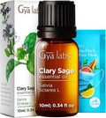 100% Pure Clary Sage Essential Oil - 0.34 Fl Oz - Clary Sage Oil for Hair, Skin, Diffuser, Aromatherapy & DIY Candle Making Scent