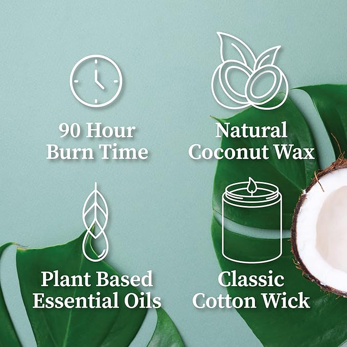 Hemlock Park Smoked Palo Santo Apothecary Hand-Poured Scented Candle | Crackling Wood Wick, Botanical Fragrance & Coconut Wax | Up to 90 Hour Burn Time | 16 oz